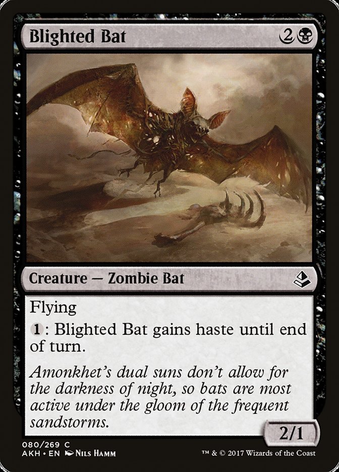 Blighted Bat [Amonkhet] | Play N Trade Winnipeg