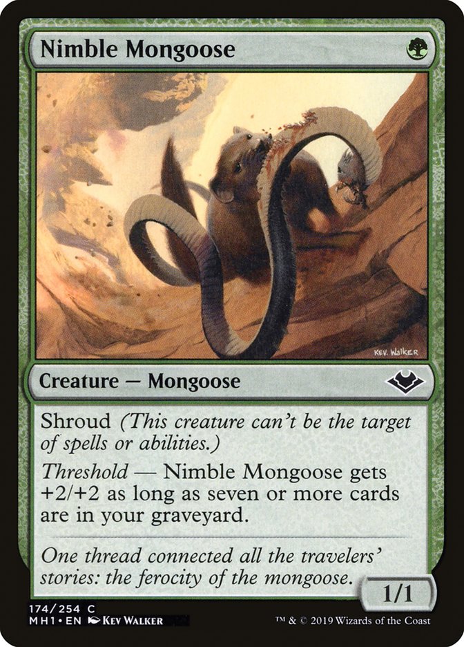 Nimble Mongoose [Modern Horizons] | Play N Trade Winnipeg