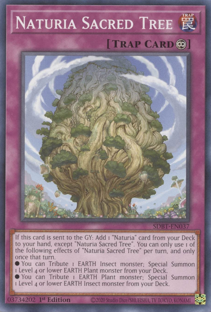 Naturia Sacred Tree [SDBT-EN037] Common | Play N Trade Winnipeg