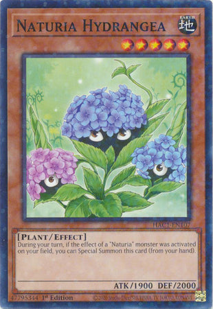 Naturia Hydrangea (Duel Terminal) [HAC1-EN107] Common | Play N Trade Winnipeg