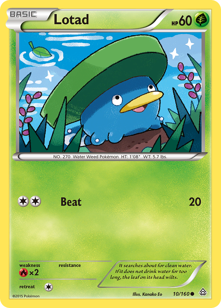 Lotad (10/160) [XY: Primal Clash] | Play N Trade Winnipeg