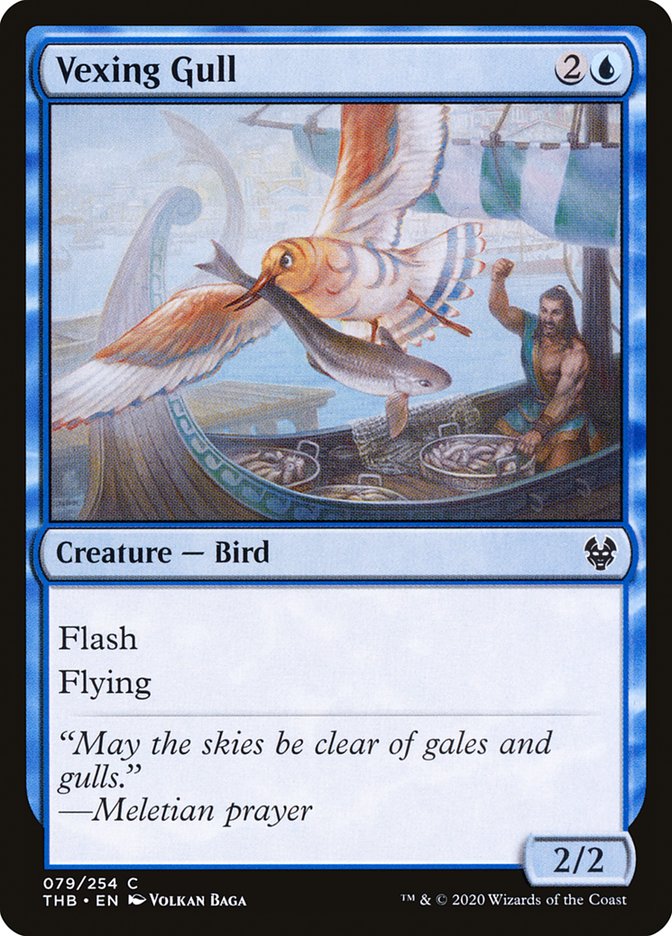Vexing Gull [Theros Beyond Death] | Play N Trade Winnipeg