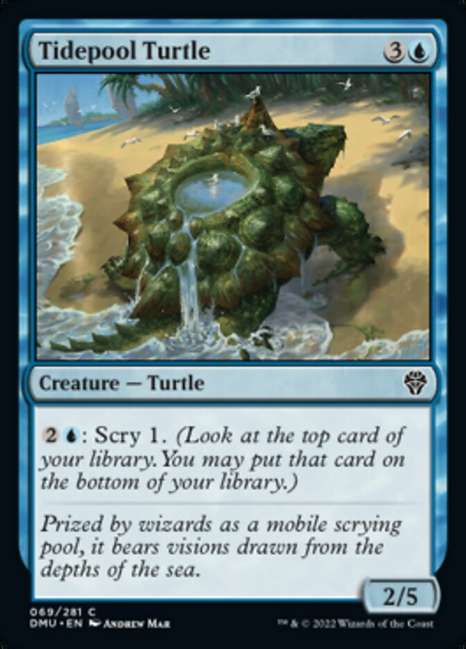 Tidepool Turtle [Dominaria United] | Play N Trade Winnipeg