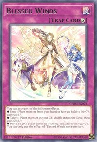 Blessed Winds [CHIM-EN074] Rare | Play N Trade Winnipeg