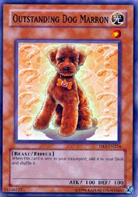 Outstanding Dog Marron [DR1-EN224] Common | Play N Trade Winnipeg