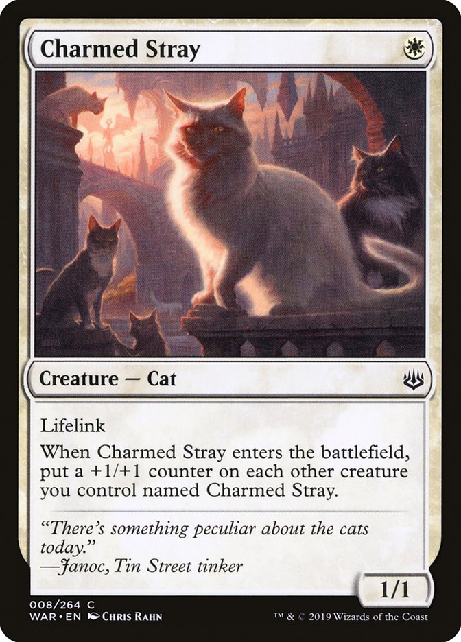 Charmed Stray [War of the Spark] | Play N Trade Winnipeg