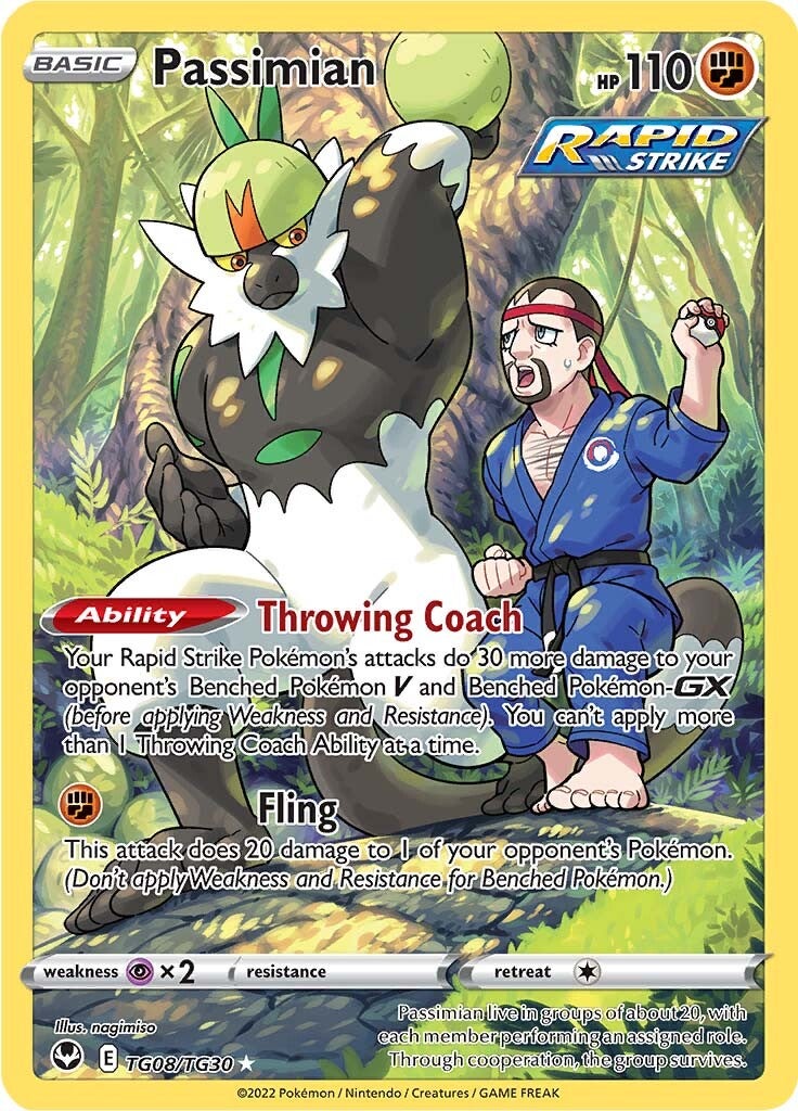 Passimian (TG08/TG30) [Sword & Shield: Silver Tempest] | Play N Trade Winnipeg