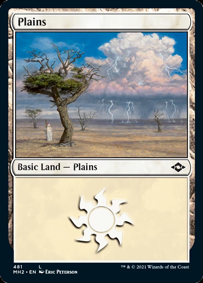 Plains (481) [Modern Horizons 2] | Play N Trade Winnipeg