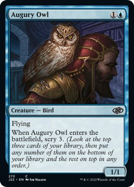 Augury Owl [Jumpstart 2022] | Play N Trade Winnipeg