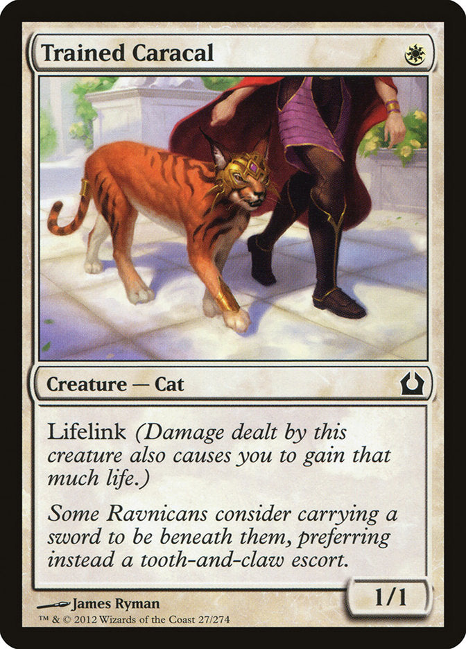 Trained Caracal [Return to Ravnica] | Play N Trade Winnipeg