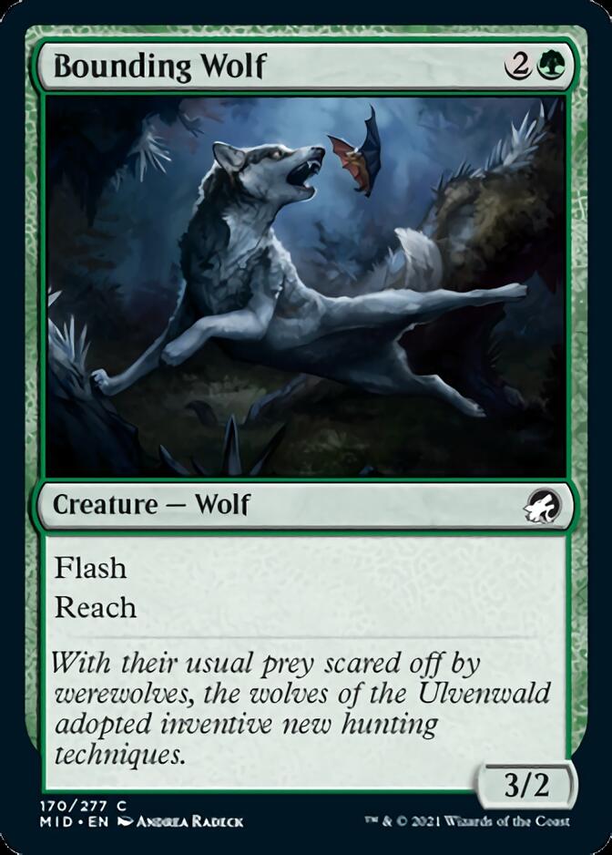 Bounding Wolf [Innistrad: Midnight Hunt] | Play N Trade Winnipeg