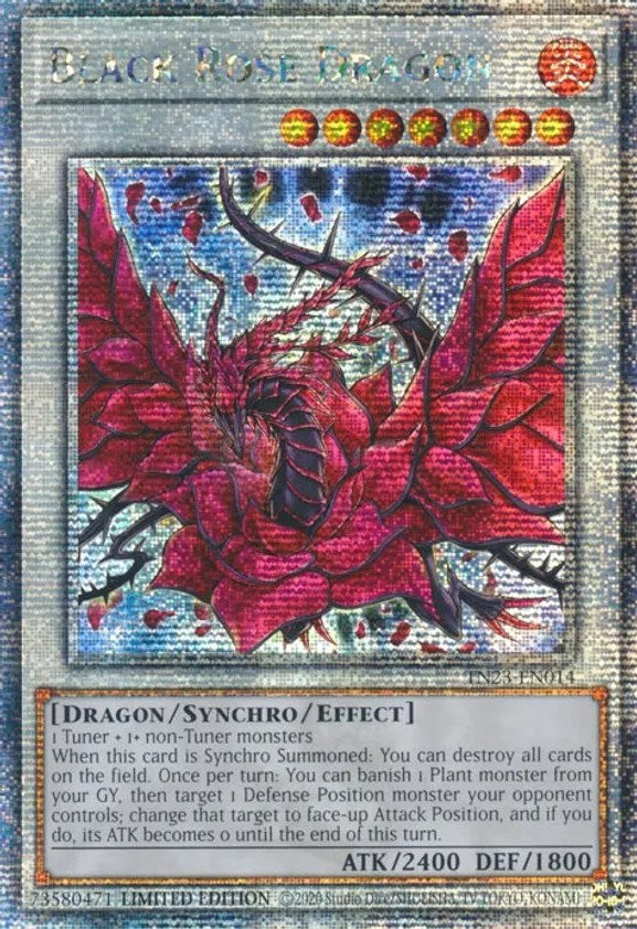 Black Rose Dragon [TN23-EN014] Quarter Century Secret Rare | Play N Trade Winnipeg