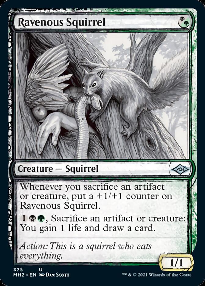 Ravenous Squirrel (Sketch) [Modern Horizons 2] | Play N Trade Winnipeg