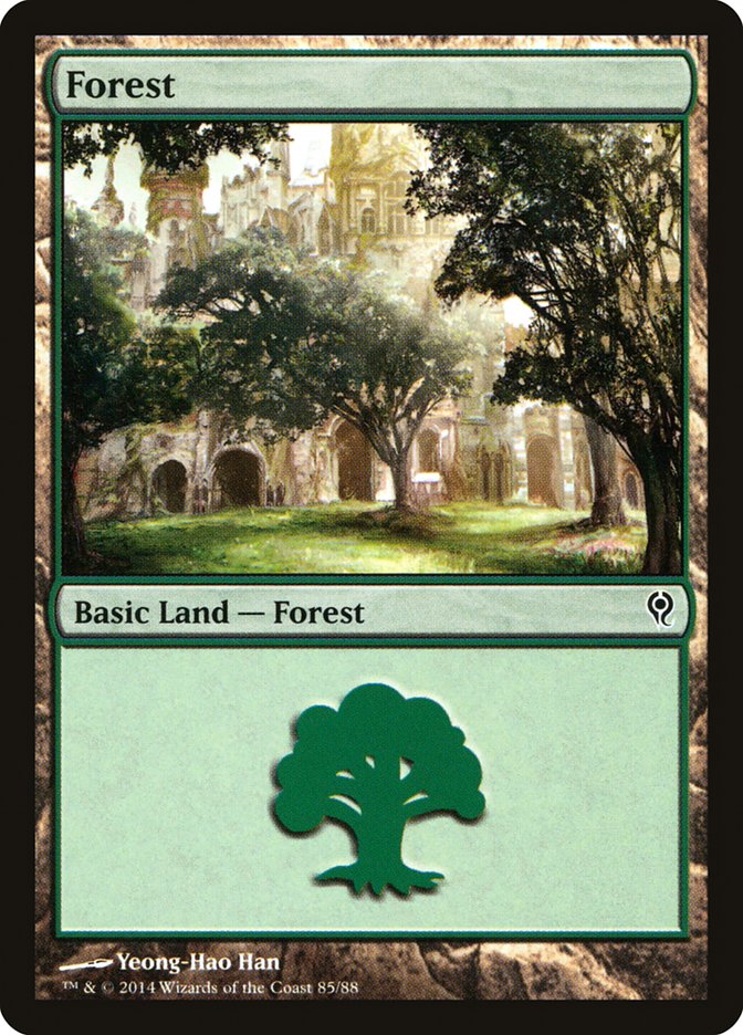 Forest (85) [Duel Decks: Jace vs. Vraska] | Play N Trade Winnipeg