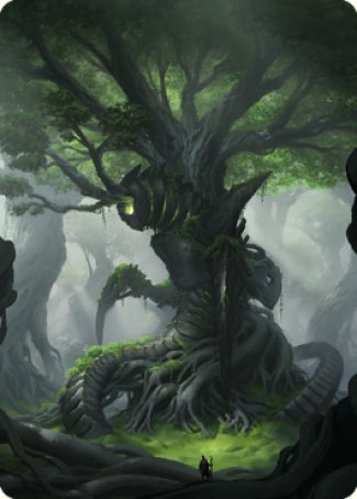 Forest Art Card [The Brothers' War Art Series] | Play N Trade Winnipeg