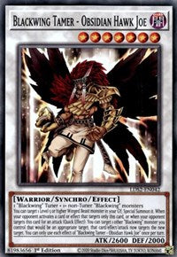 Blackwing Tamer - Obsidian Hawk Joe [LDS2-EN042] Common | Play N Trade Winnipeg