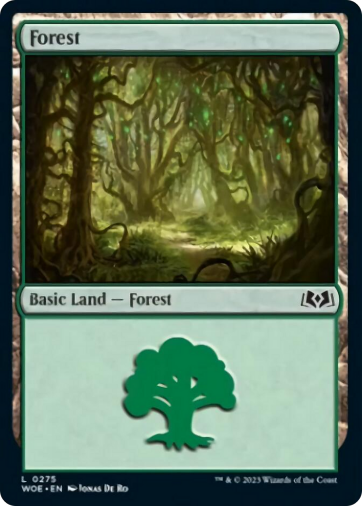 Forest (0275) [Wilds of Eldraine] | Play N Trade Winnipeg