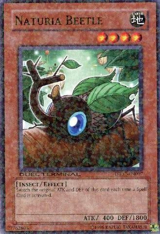 Naturia Beetle [DT02-EN007] Common | Play N Trade Winnipeg