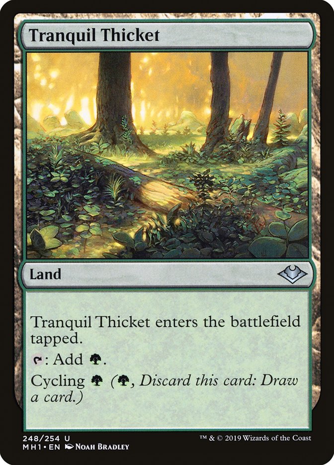 Tranquil Thicket [Modern Horizons] | Play N Trade Winnipeg