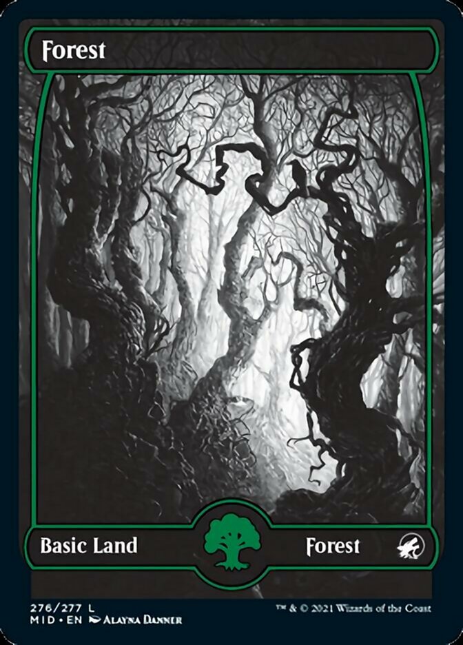 Forest (276) [Innistrad: Midnight Hunt] | Play N Trade Winnipeg