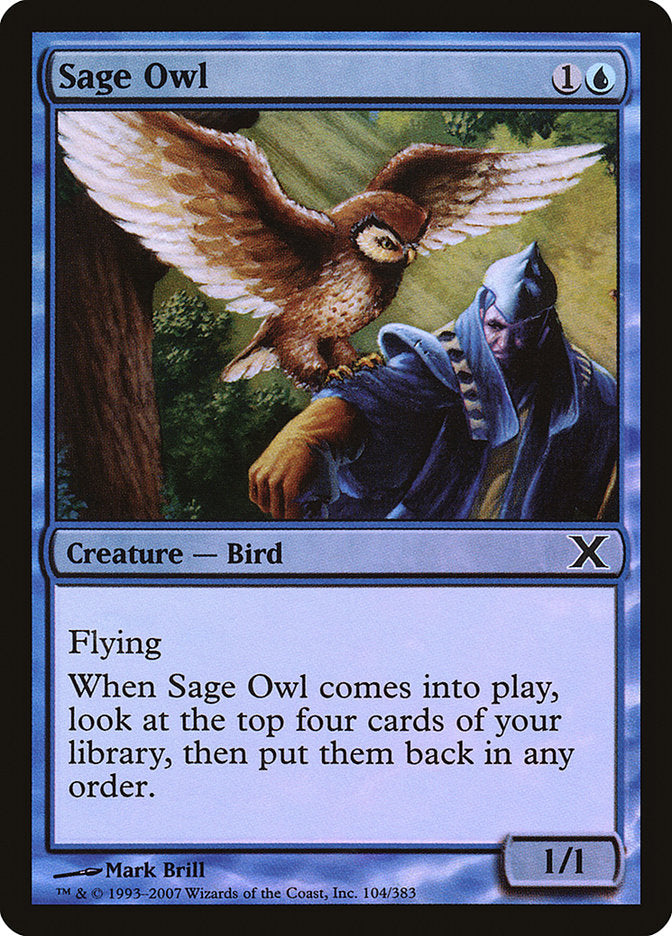 Sage Owl (Premium Foil) [Tenth Edition] | Play N Trade Winnipeg