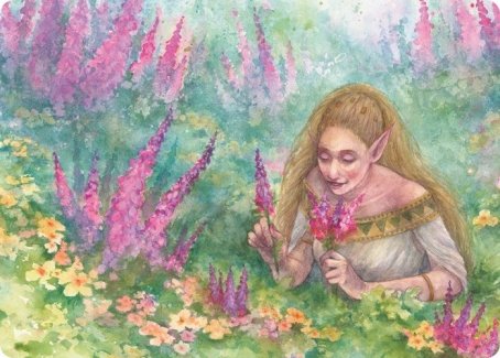 Abundant Harvest Art Card [Modern Horizons 2 Art Series] | Play N Trade Winnipeg