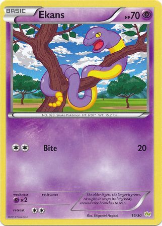 Ekans (16/30) [XY: Trainer Kit - Noivern] | Play N Trade Winnipeg