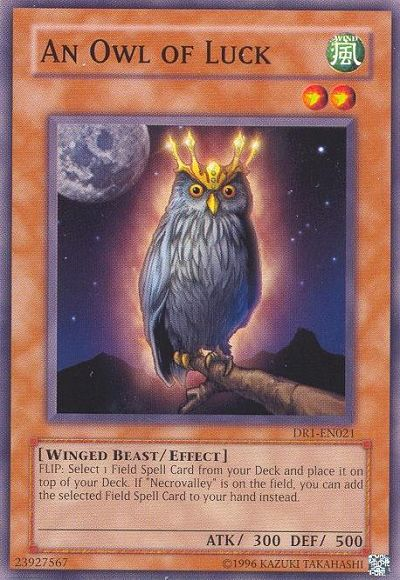 An Owl of Luck [DR1-EN021] Common | Play N Trade Winnipeg