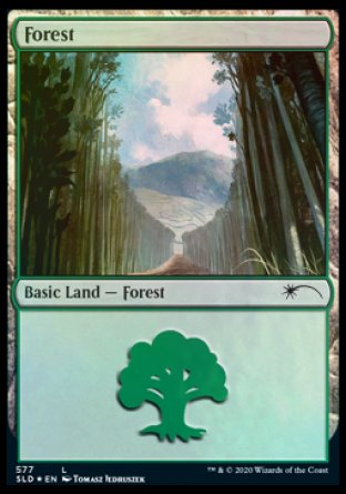 Forest (Walls) (577) [Secret Lair Drop Promos] | Play N Trade Winnipeg