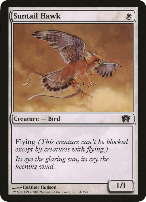 Suntail Hawk (Oversized) [Eighth Edition Box Topper] | Play N Trade Winnipeg