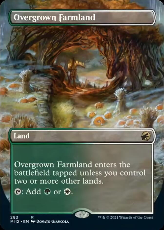 Overgrown Farmland (Borderless) [Innistrad: Midnight Hunt] | Play N Trade Winnipeg