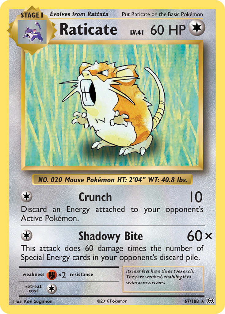 Raticate (67/108) [XY: Evolutions] | Play N Trade Winnipeg