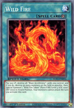 Wild Fire [SGX1-ENH16] Common | Play N Trade Winnipeg
