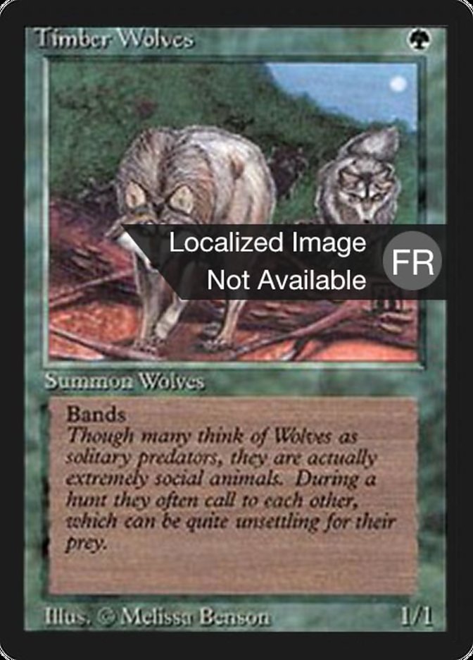 Timber Wolves [Foreign Black Border] | Play N Trade Winnipeg