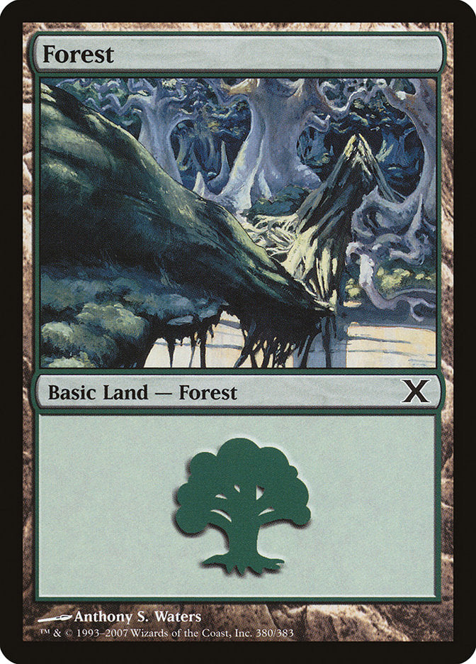 Forest (380) [Tenth Edition] | Play N Trade Winnipeg