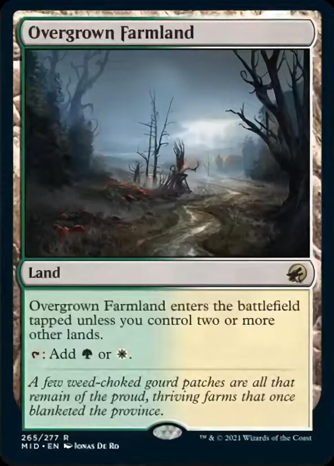 Overgrown Farmland [Innistrad: Midnight Hunt] | Play N Trade Winnipeg