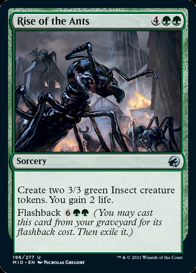 Rise of the Ants [Innistrad: Midnight Hunt] | Play N Trade Winnipeg