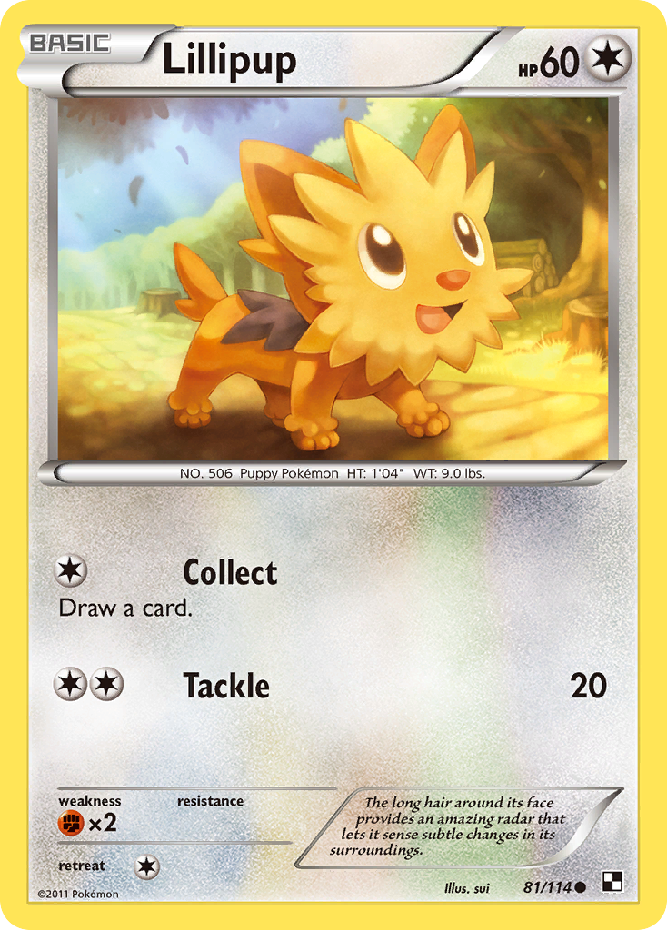 Lillipup (81/114) [Black & White: Base Set] | Play N Trade Winnipeg