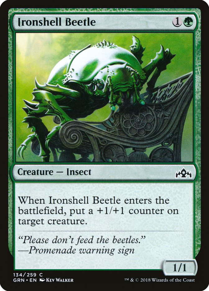 Ironshell Beetle [Guilds of Ravnica] | Play N Trade Winnipeg