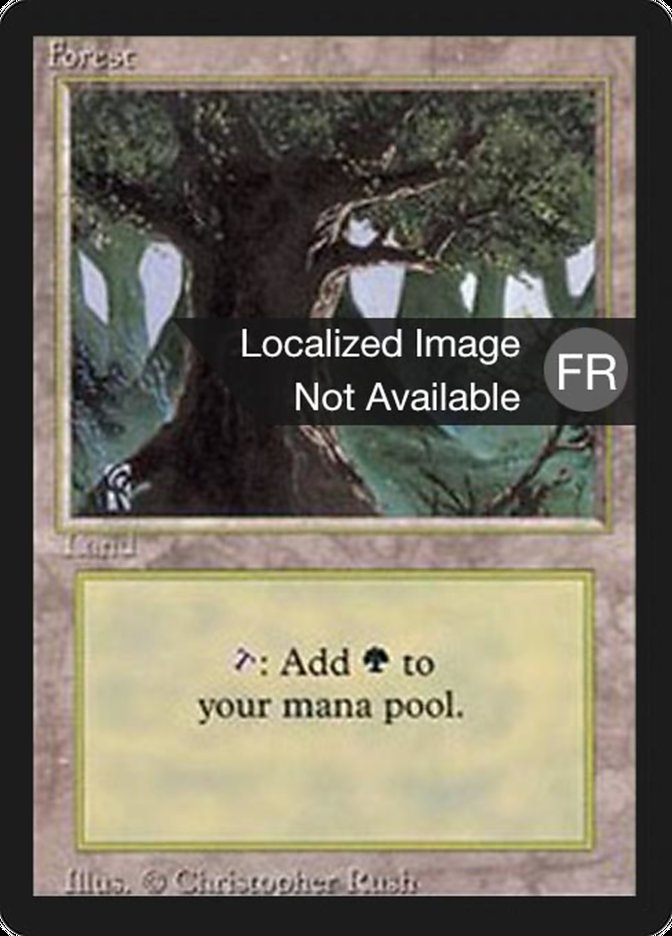 Forest (A) [Foreign Black Border] | Play N Trade Winnipeg