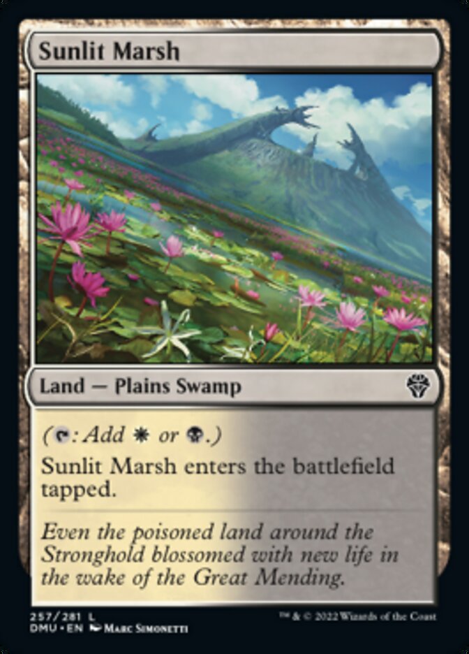 Sunlit Marsh [Dominaria United] | Play N Trade Winnipeg