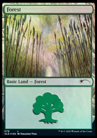 Forest (Elves) (579) [Secret Lair Drop Promos] | Play N Trade Winnipeg