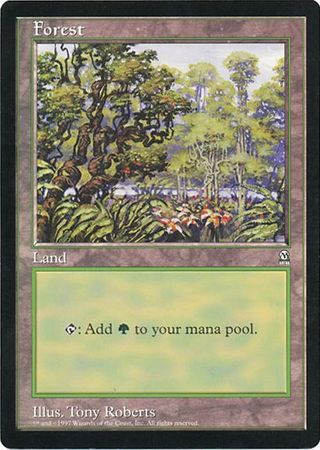 Forest (Oversized) [Oversize Cards] | Play N Trade Winnipeg