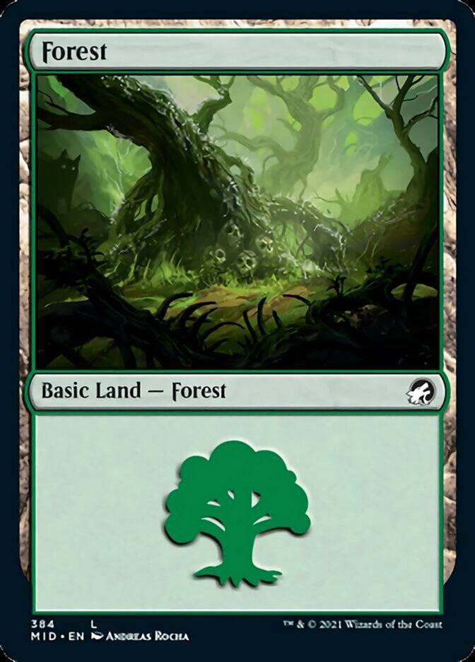 Forest (384) [Innistrad: Midnight Hunt] | Play N Trade Winnipeg