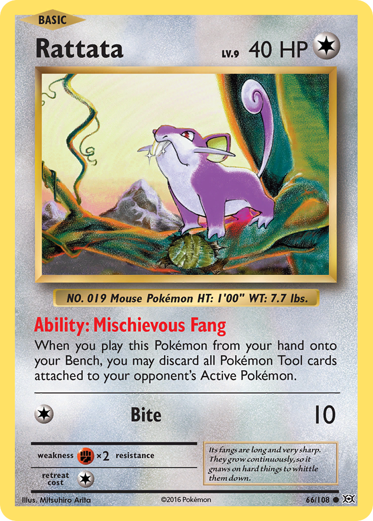 Rattata (66/108) [XY: Evolutions] | Play N Trade Winnipeg