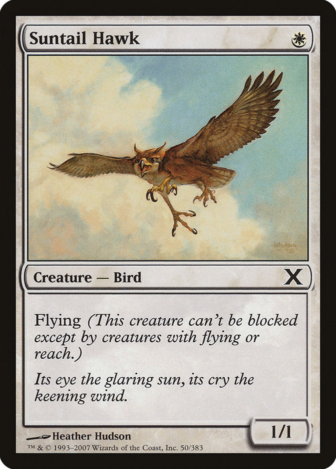 Suntail Hawk [Tenth Edition] | Play N Trade Winnipeg