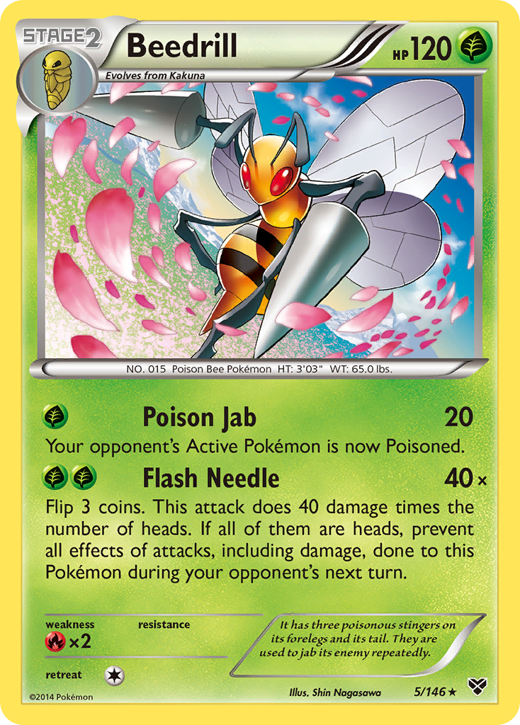 Beedrill (5/146) [XY: Base Set] | Play N Trade Winnipeg