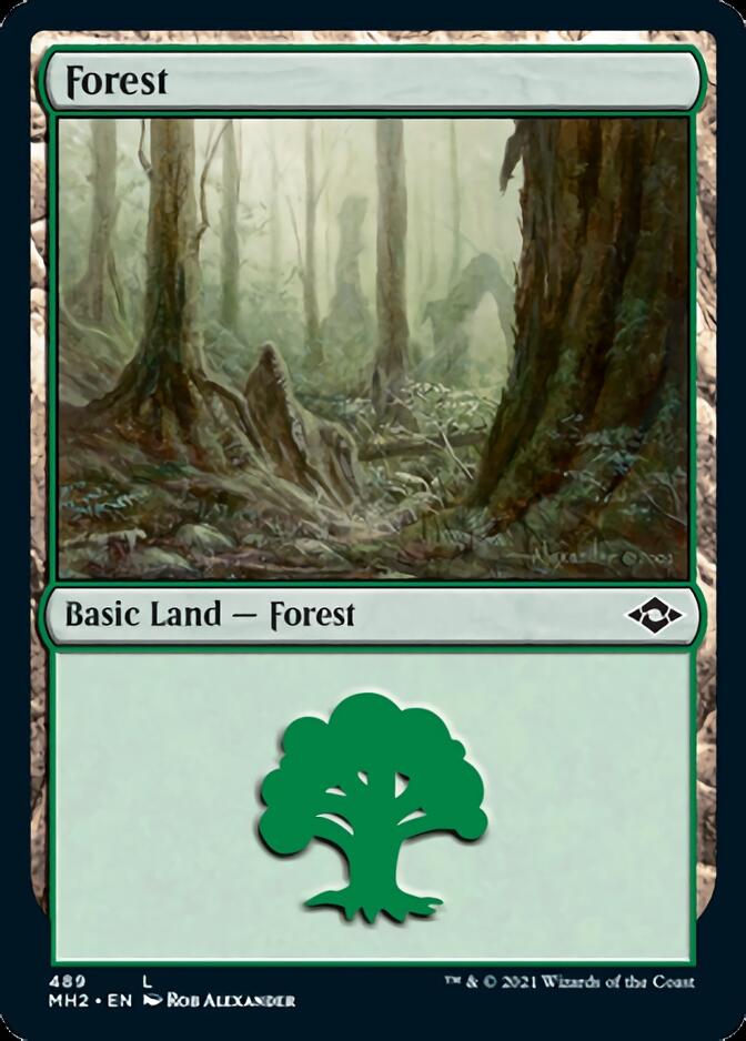 Forest (489) [Modern Horizons 2] | Play N Trade Winnipeg