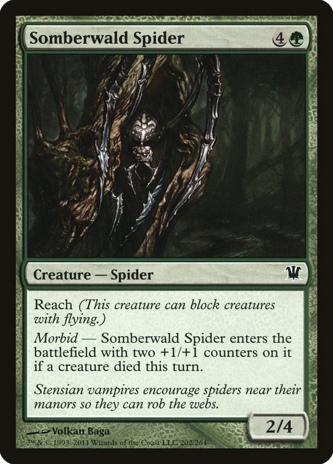 Somberwald Spider [Innistrad] | Play N Trade Winnipeg
