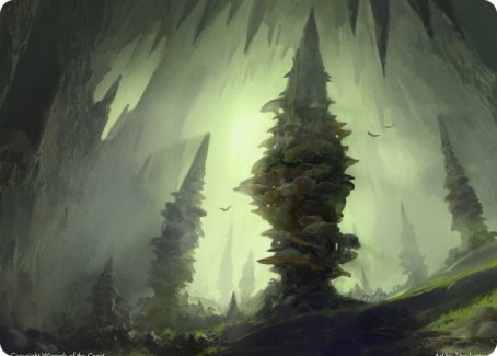 Forest (280) Art Card [Dungeons & Dragons: Adventures in the Forgotten Realms Art Series] | Play N Trade Winnipeg